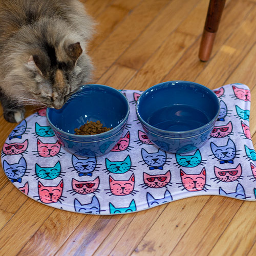 Pet Feeding Mat print on demand 2 fish