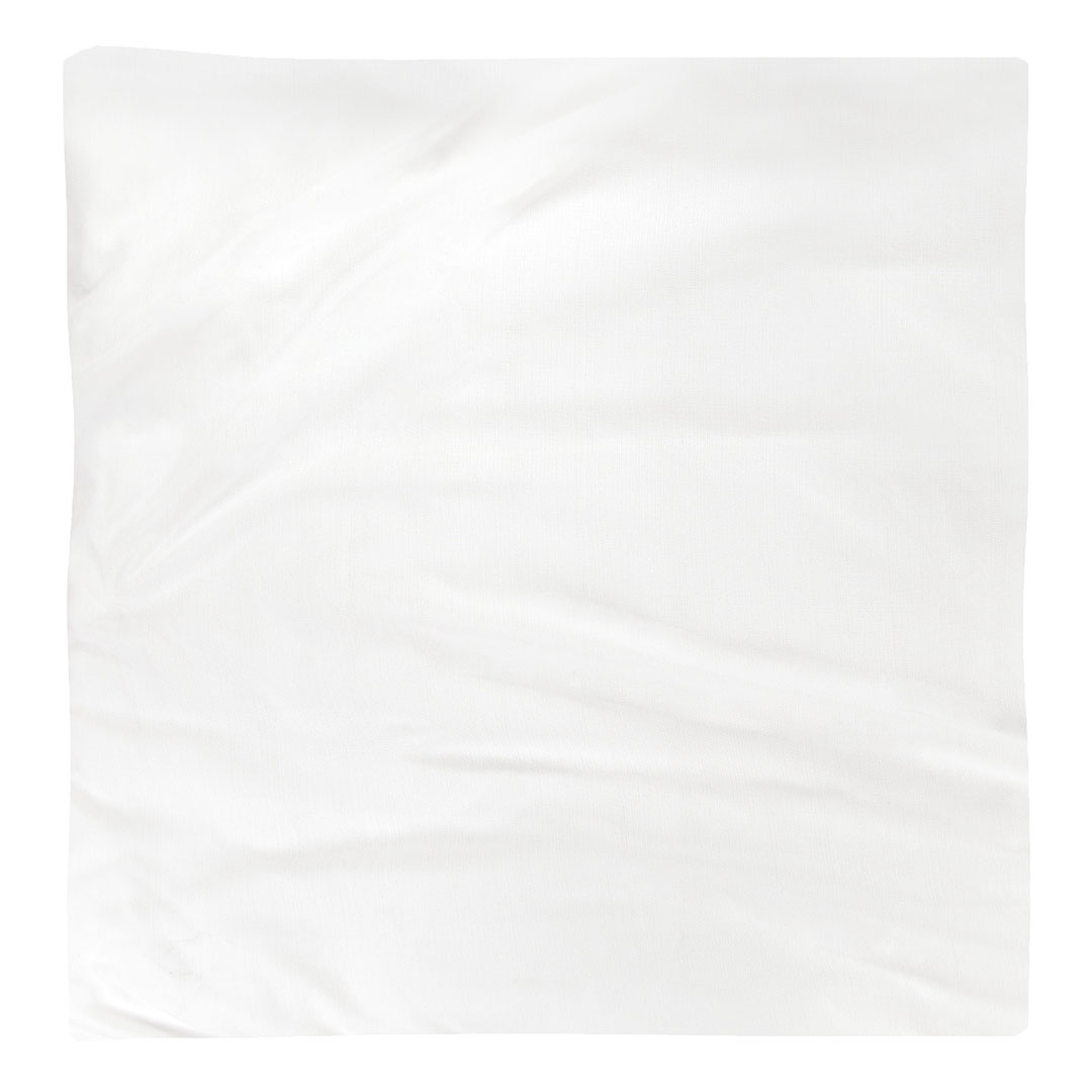 Napkin