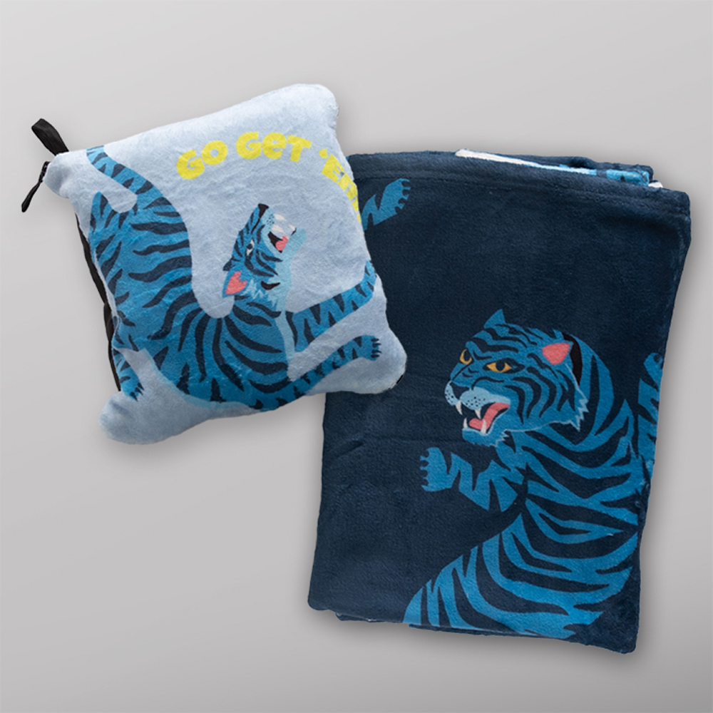 Travel Blanket and Bag