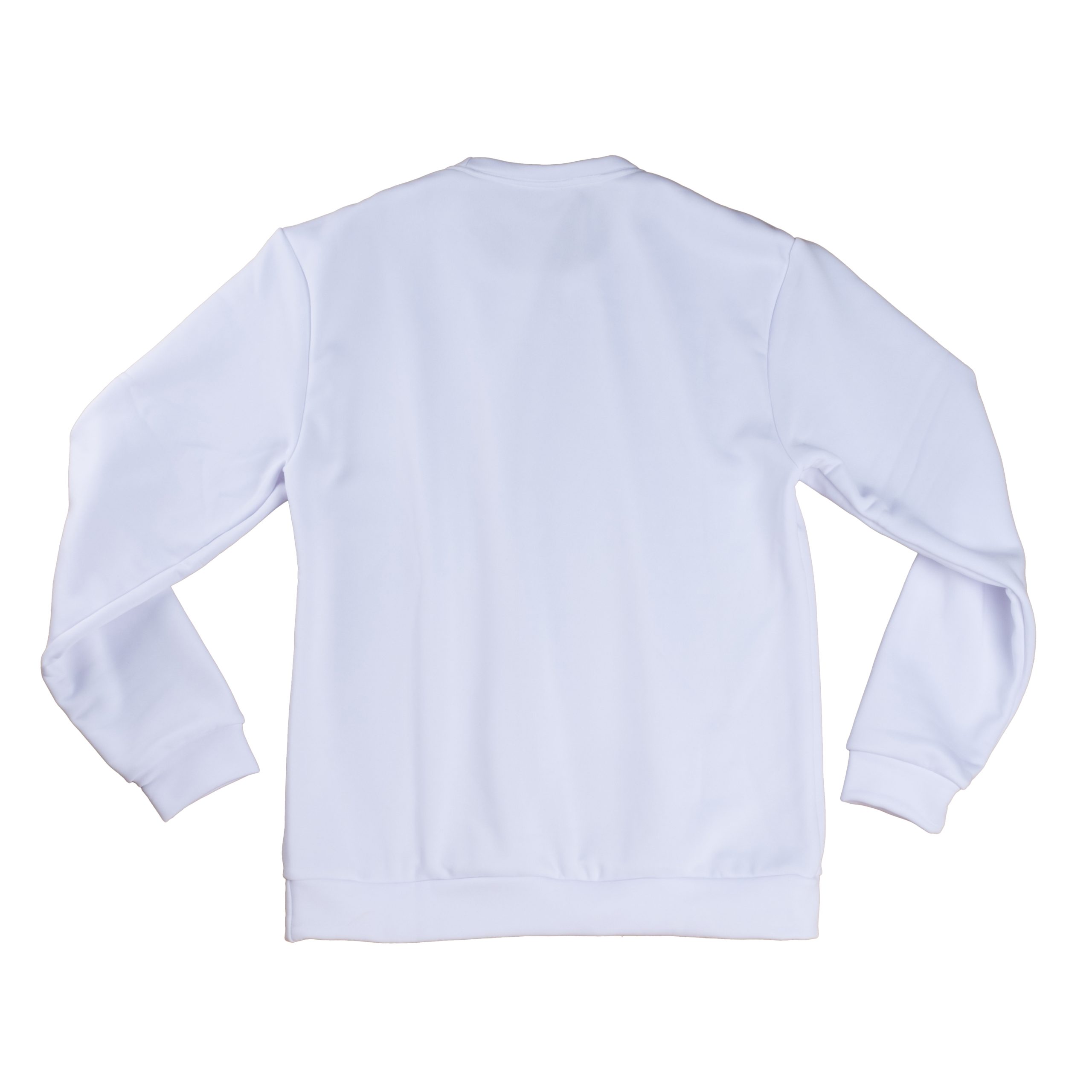 Unisex_AOP_Crewneck_Sweatshirt_Back