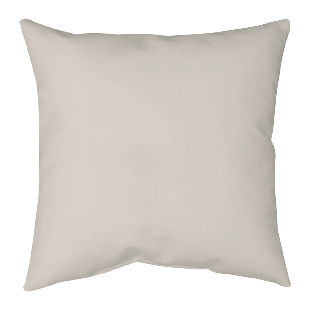 Poly Velvet Pillows - Front Blank