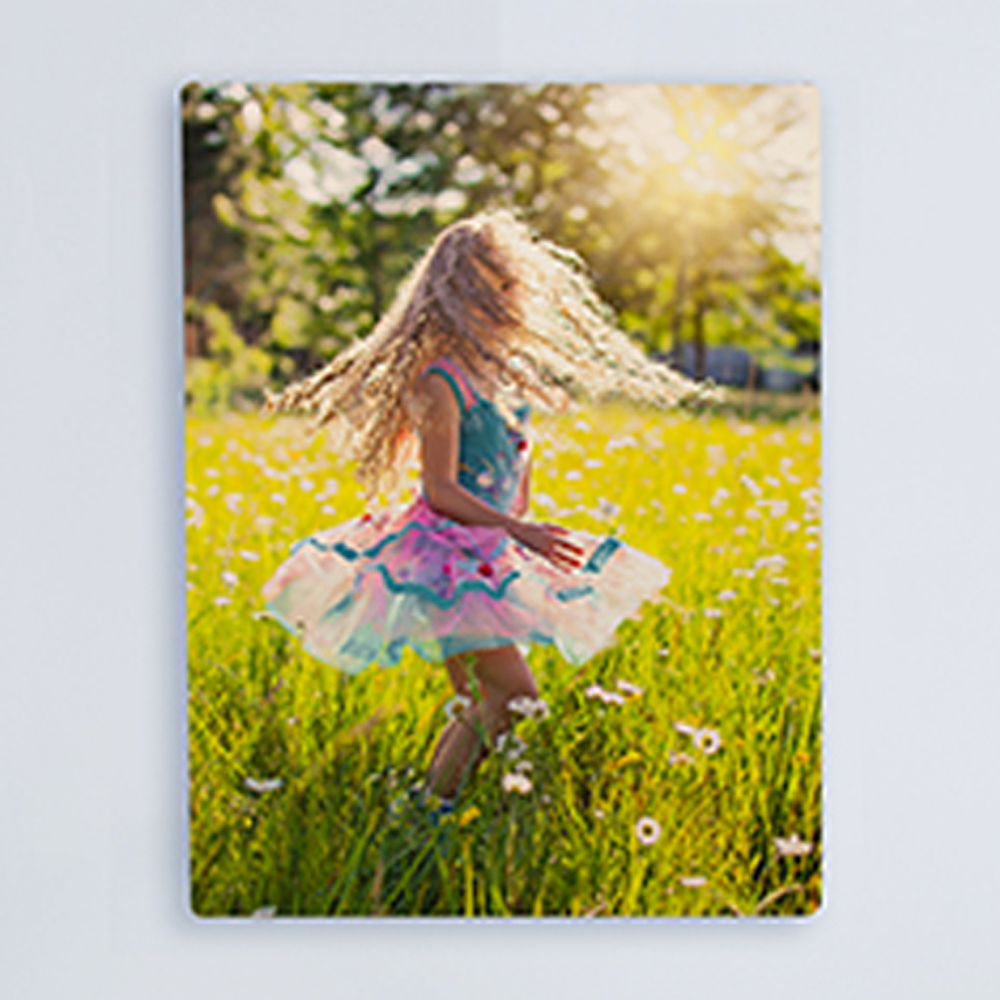 Metal Prints